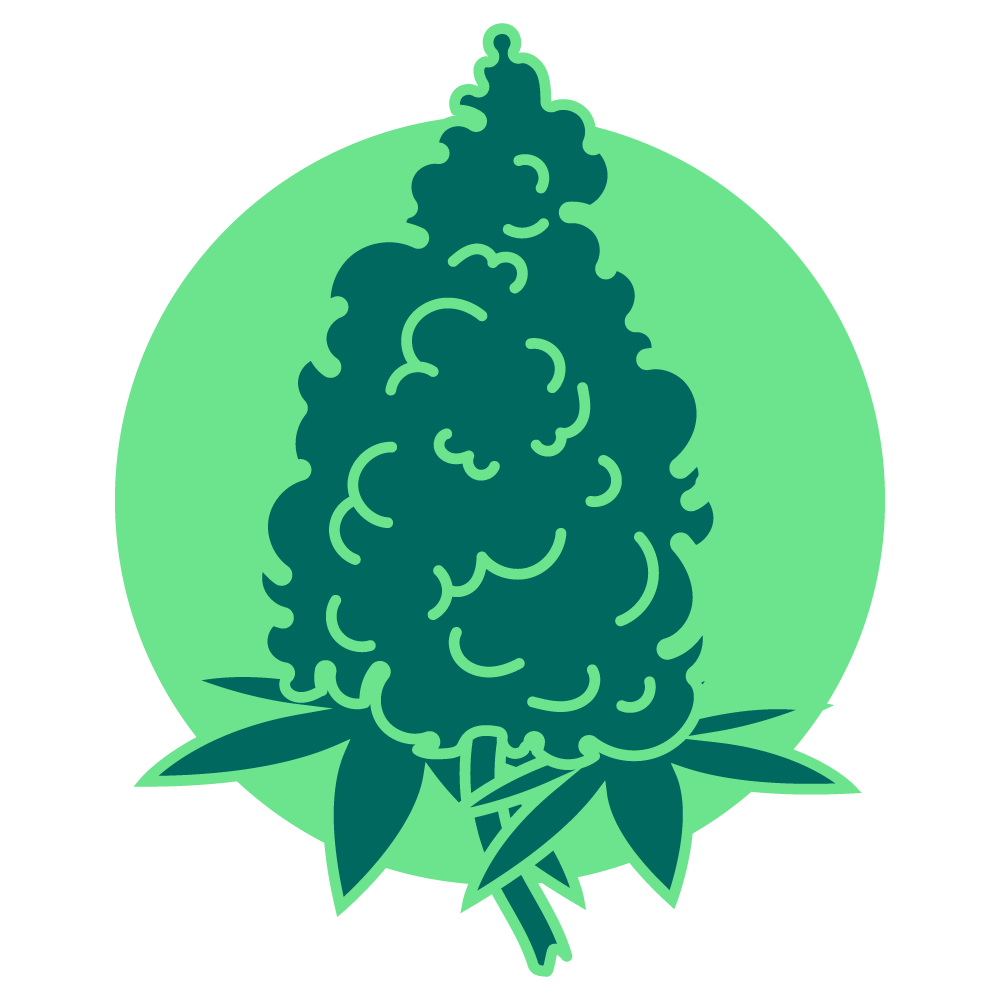 Icon of a cannabis flower bud on a green background