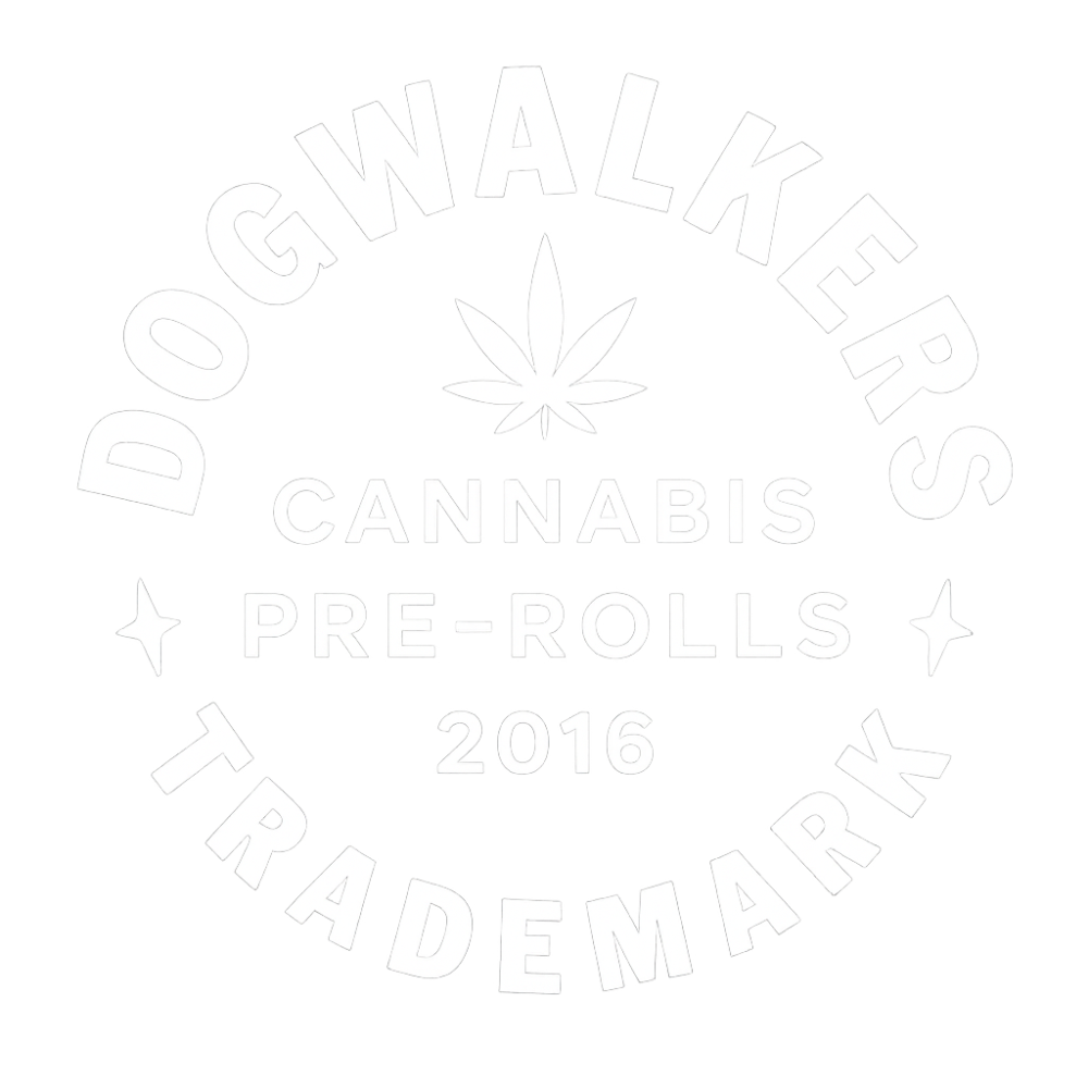 Verilife logo in white