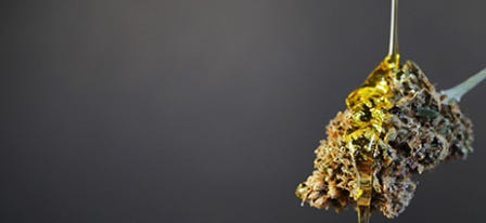 Cannabis flower bud with concentrate dripping over it