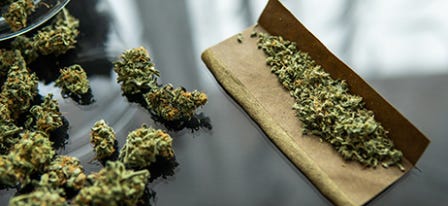 Cannabis blunt ready to be rolled