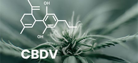 What is CBDV & How is it Different From CBD?