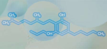 Guide to Understanding What Cannabigerol (CBG) Is & How It Works