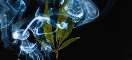 Guide to Cannabis Decarboxylation