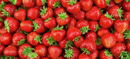 Strawberry Cannabis Strains for a Sweet-and-Fruity Session