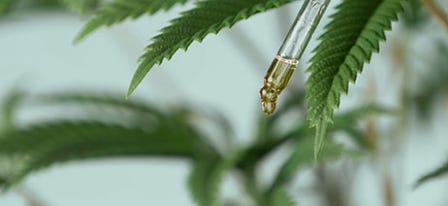 What Are Sublingual THC Products & How Do They Work?
