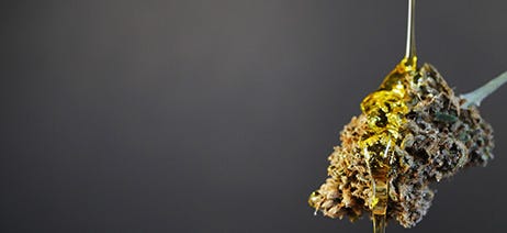 Cannabis flower bud with concentrate dripping over it