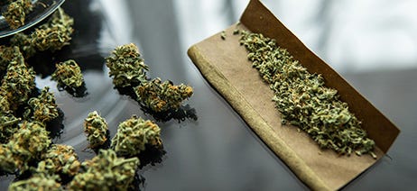 Cannabis blunt ready to be rolled