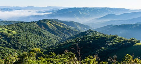Mountains covered in trees in South Africa