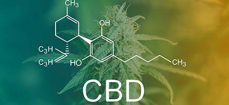 CBD molecule in front of a cannabis plant