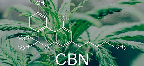 CBN molecule in front of a cannabis plant