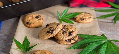 Five chocolate cookies on parchment paper surrounded by cannabis leaves