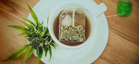 Cannabis tea bag floating on top of a coffee cup with a cannabis plant sitting on the saucer next to it
