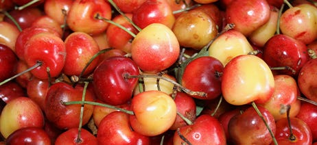 Pile of red cherries with stems