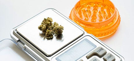 Small amount of cannabis flower on a digital scale next to a plastic orange grinder