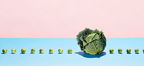 Large head of lettuce with five small brussel sprouts