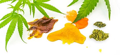 Cannabis concentrates on a white background with overlaying cannabis leaves