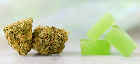 Small nuggest of cannabis flower next to a small gummie
