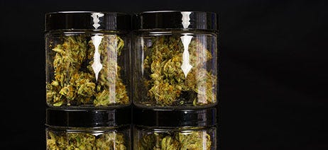 Two clear jars containing cannabis flower buds on a black background