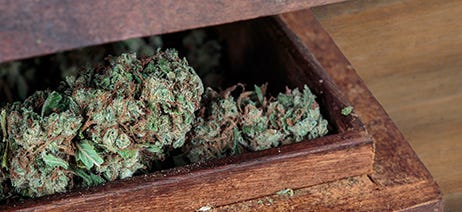 Wooden box with the lid slightly open to see cannabis buds inside