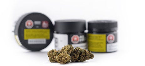 Nugget of cannabis flower in front of three empty flower jars