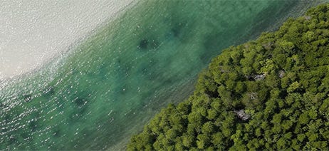 Greenery and beach along the ocean in Thailand