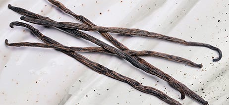 Vanilla beans laying on a white background