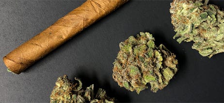 Marijuana blunt on a table next to two cannabis flower nuggets