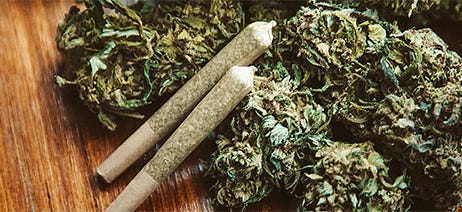Cannabis pre-rolls on top of a pile of cannabis flower nuggets