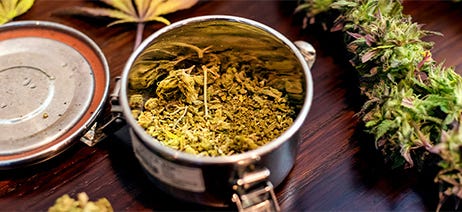 Two trimmed cannabis plants next to a container of marijuana trim