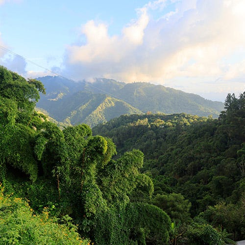 Green mountains fading off into the distance