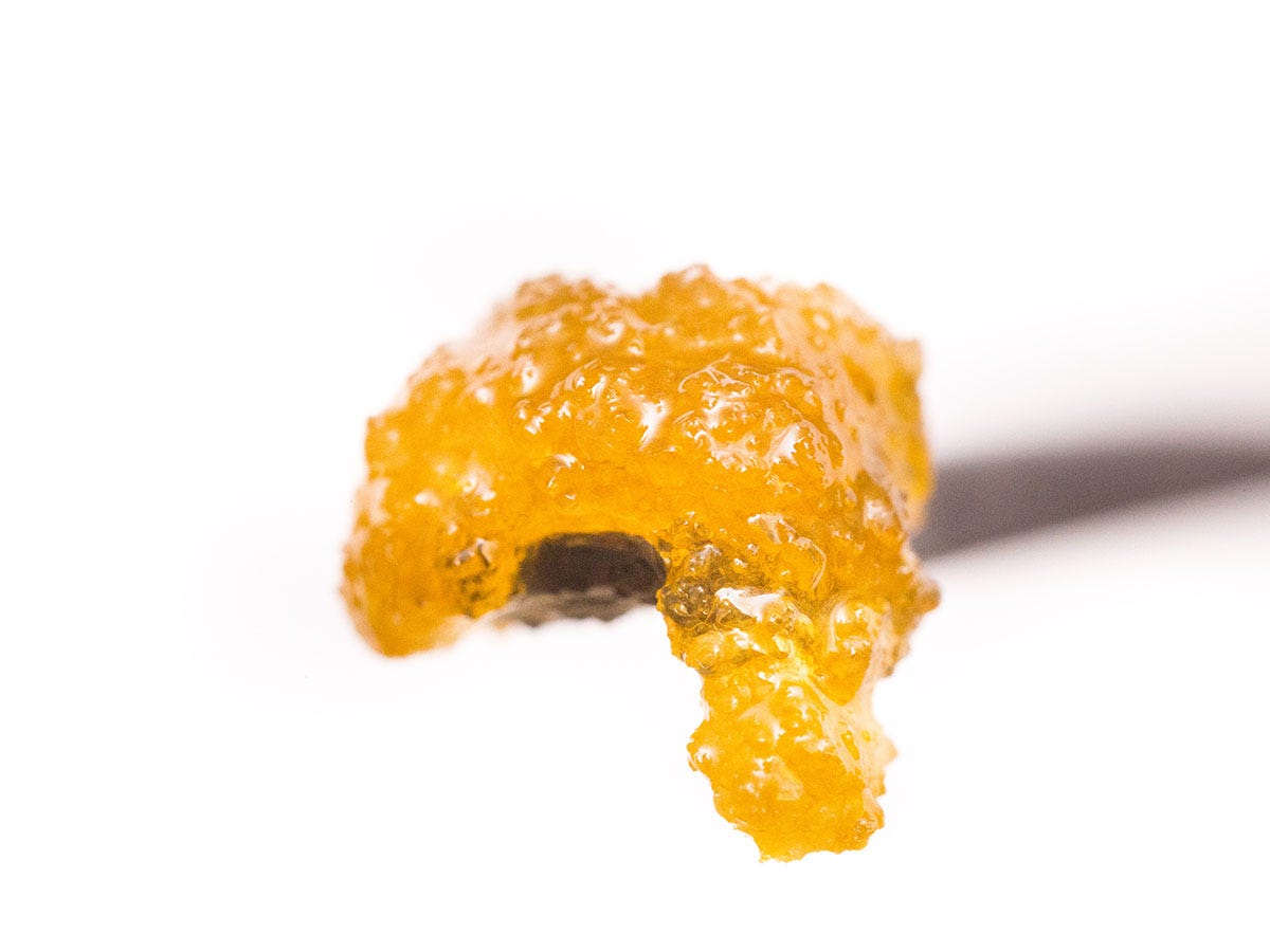 Live resin concentrate on a dab tool in front of a white background