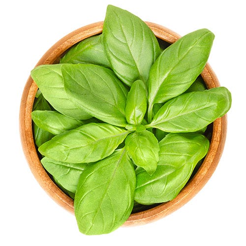 Basket of green herbs