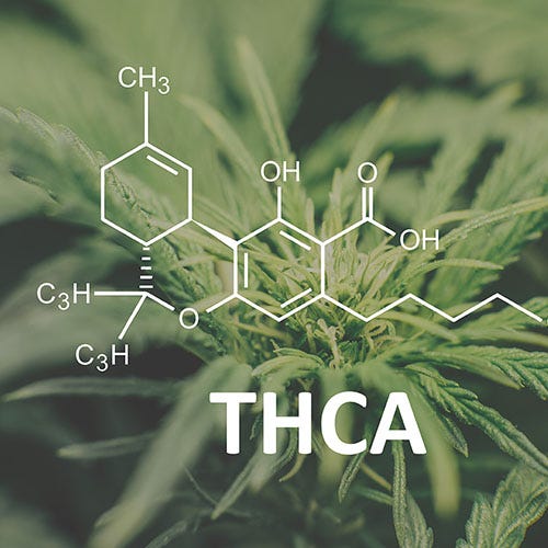 THCA molecule over cannabis fan leaves