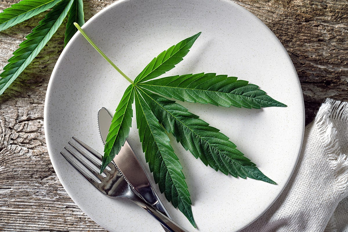 Cannabis leaf on a plate 