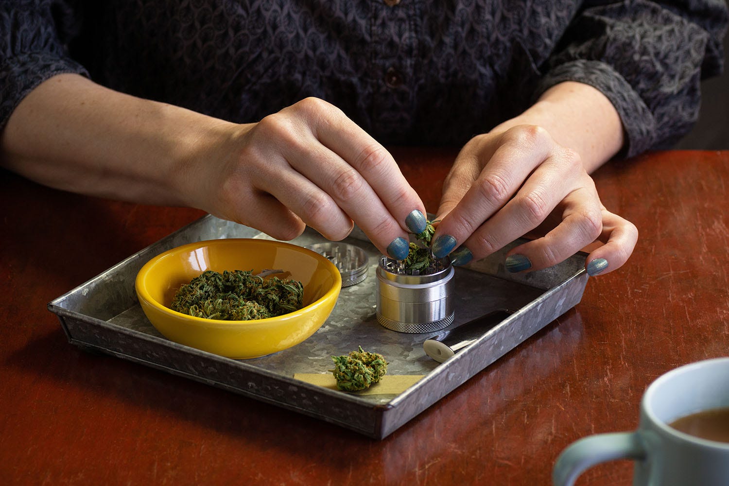 Hands adding marijuana flower a metal grinder, over a rolling tray