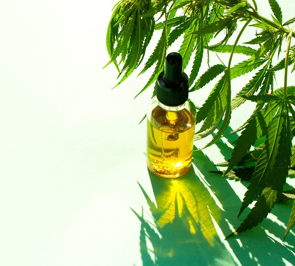 Tincture bottle next to cannabis plants