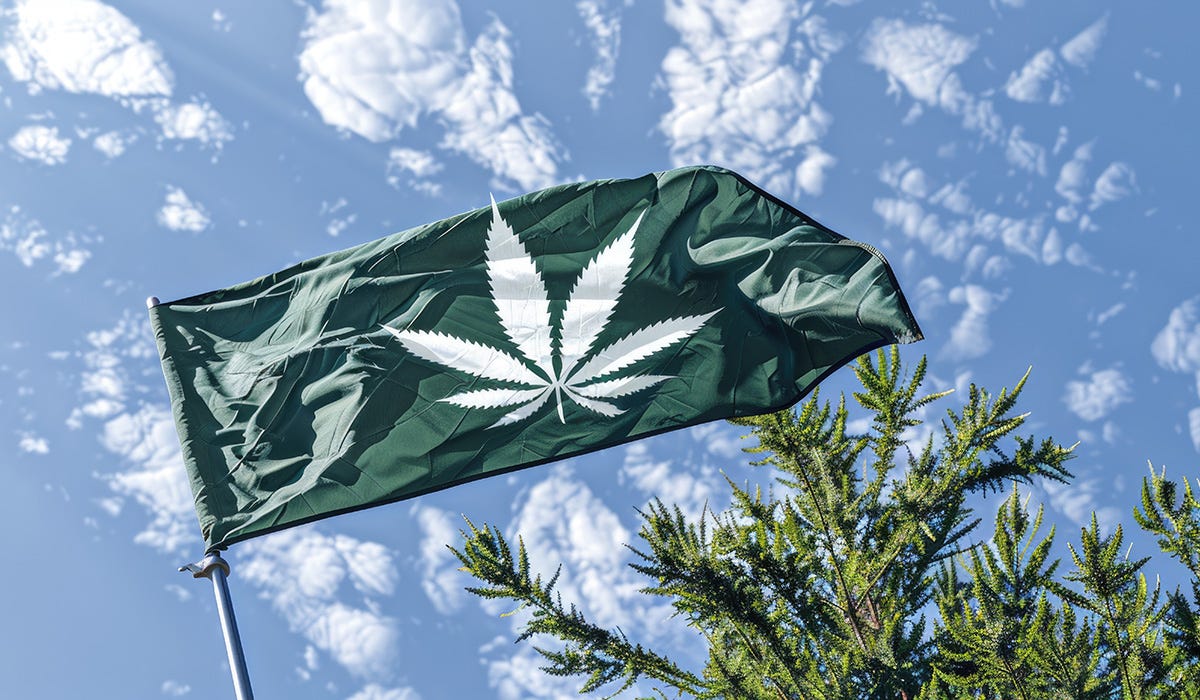 Green flag with a cannabis leaf on it waving outside