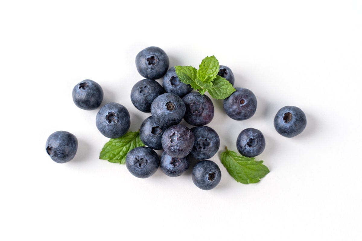 Pile of blueberries with leaves on a white background