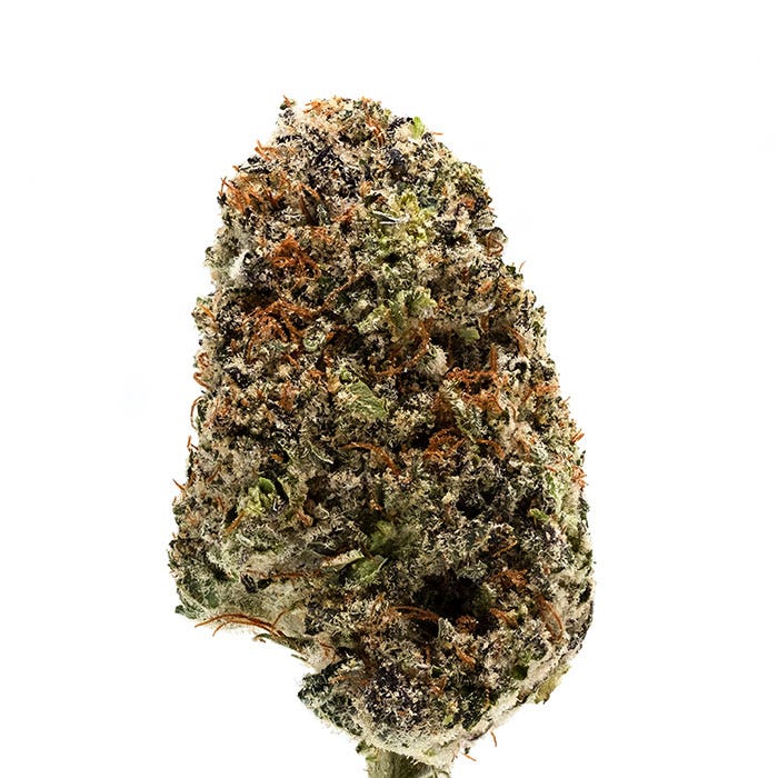 Blueberry cannabis flower on a white background