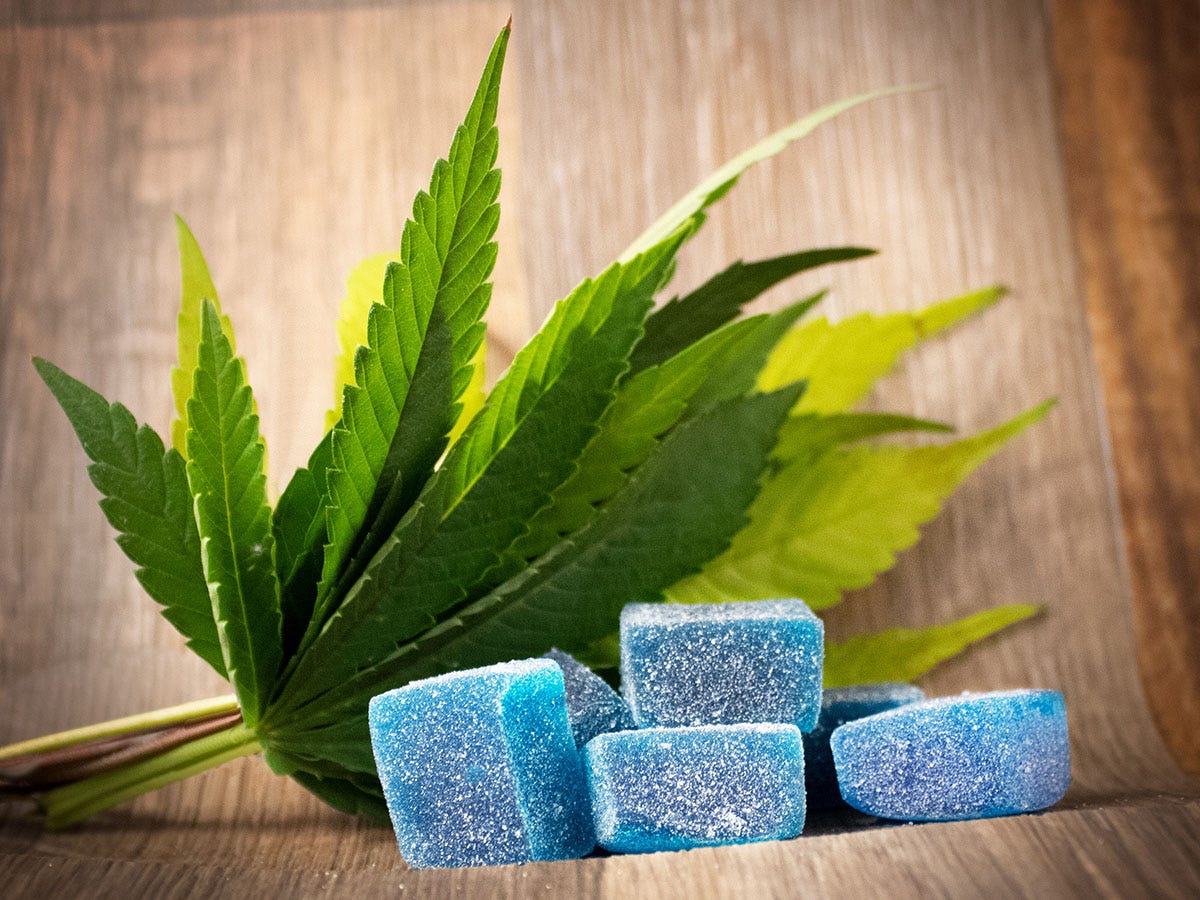 Blue square CBD gummies on a table in front of cannabis leaves