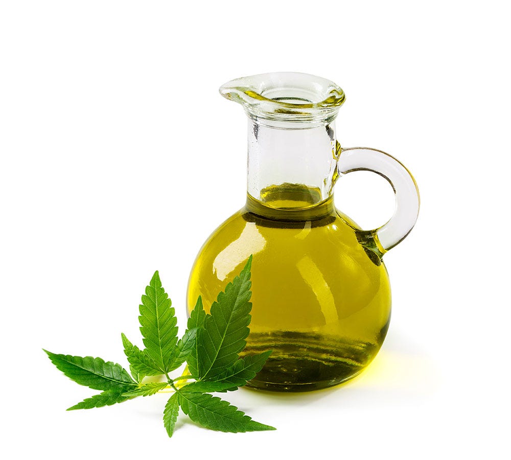 Clear glass pitcher filled with cannabis cooking oil with cannabis leaves in front