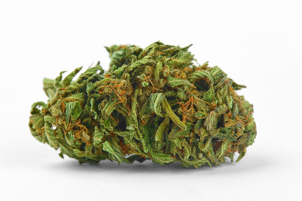 Cherry Pie cannabis bud