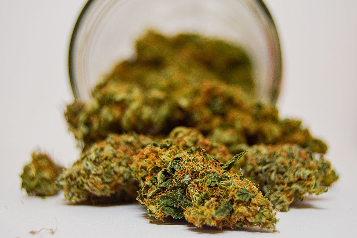 Cannabis buds spilling out of a jar