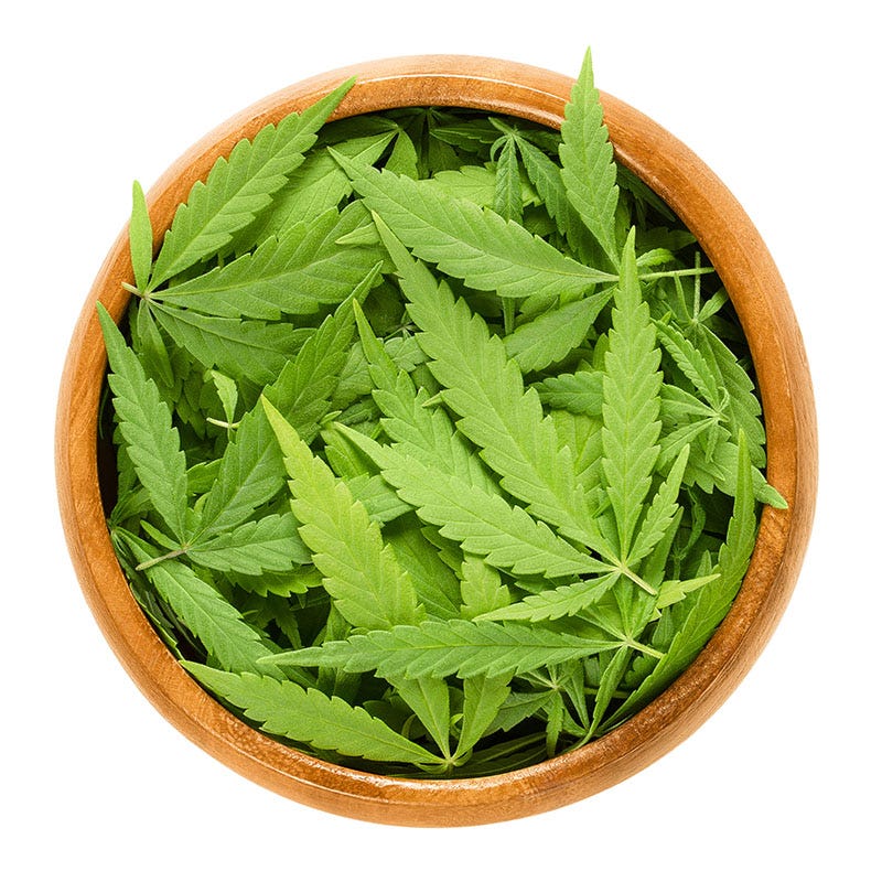 Wooden bowl of cannabis fan leaves
