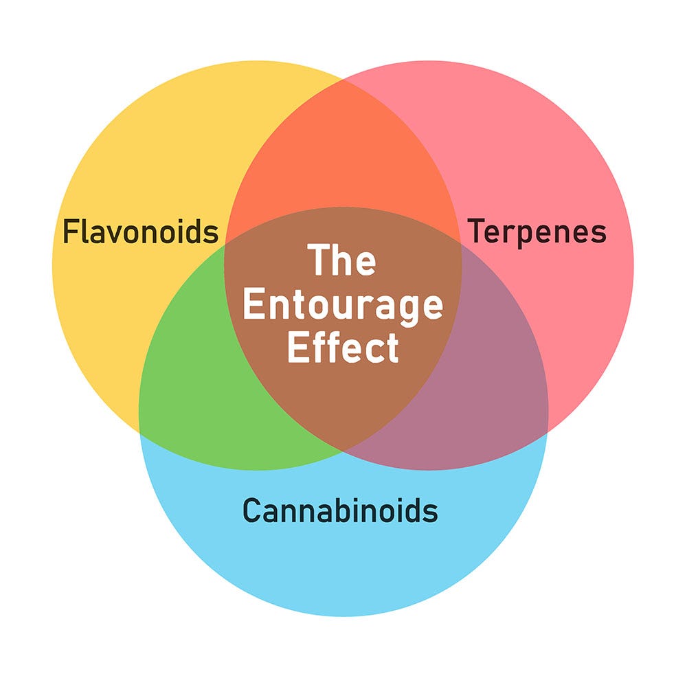 Venn diagram with flavanoids, terpenes, and cannabinoids on the outside and 'Entourage Effect' in the middle