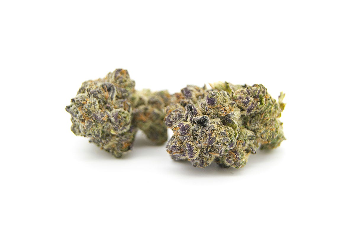 Two nuggets of Gelato flower