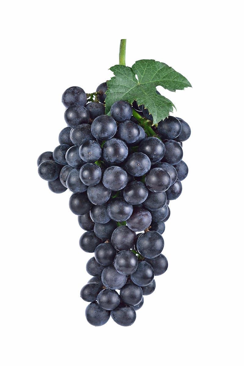 Bunch of purple grapes