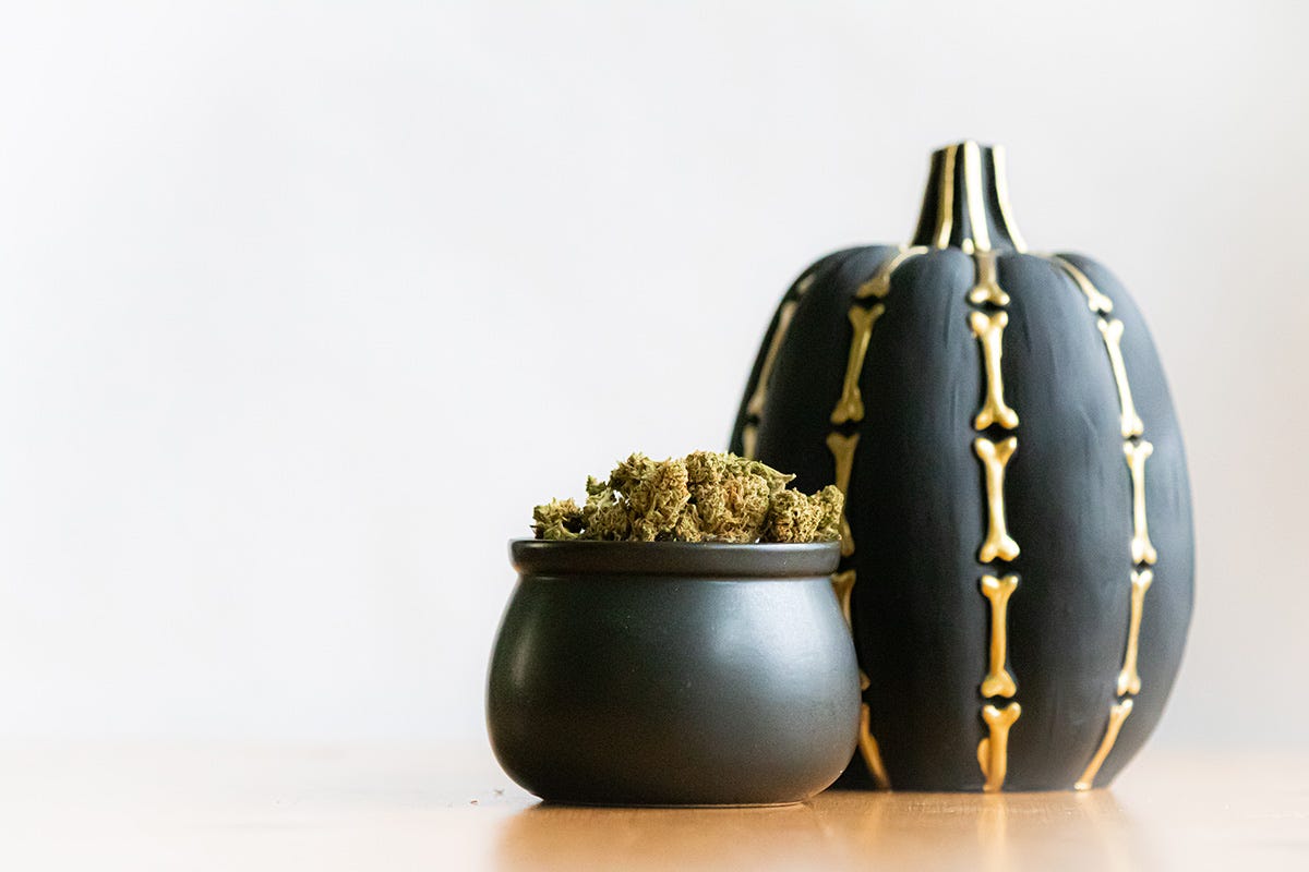 Cauldron full of flower next to a black pumpkin