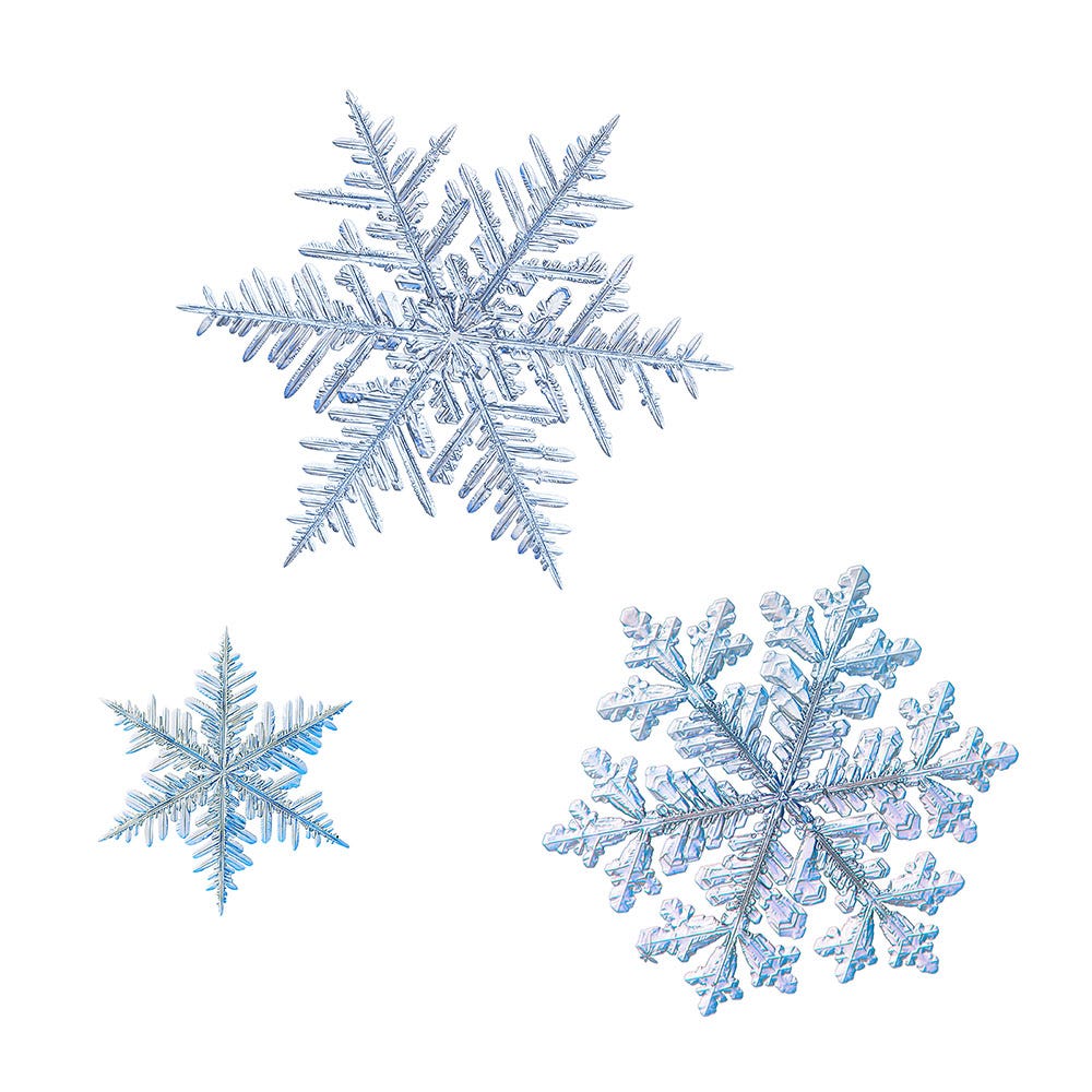 Close up on three snowflakes on a white background