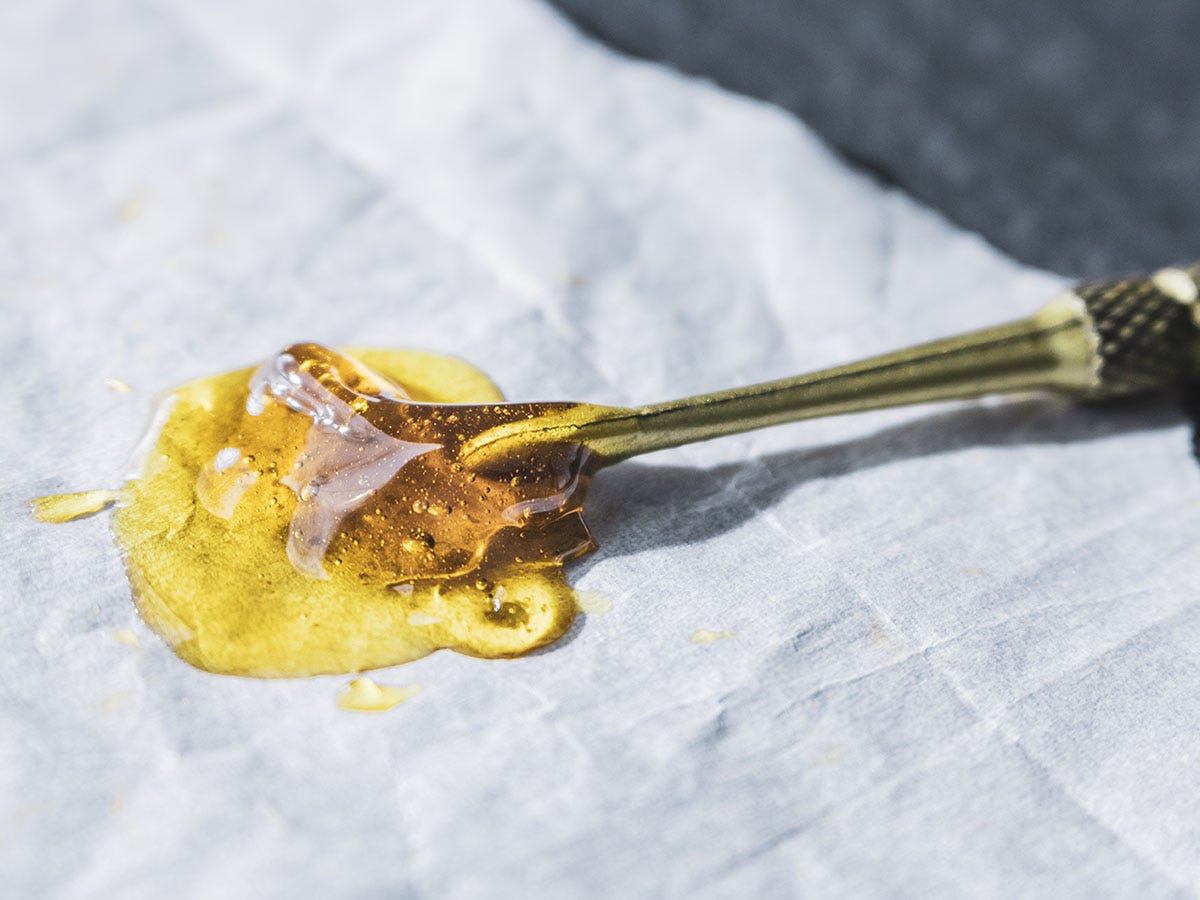 Live rosin on the end of a dab tool sitting on parchment paper